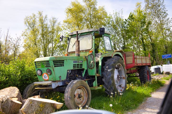 foto